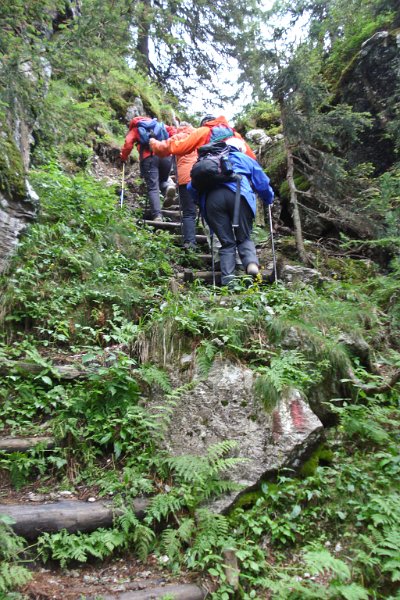 13 zur Ursprung Alm.JPG